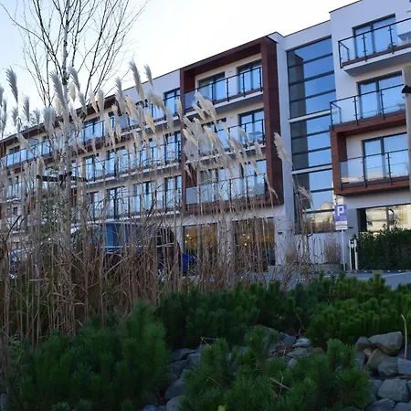 Mw - - Anchoria * מחלינקי