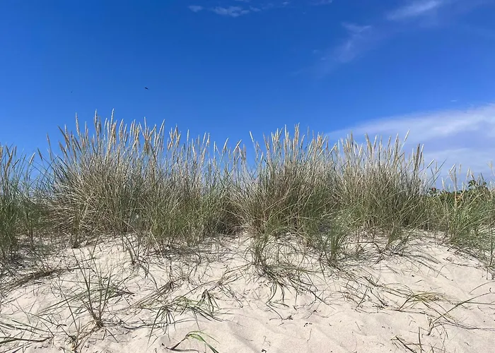 Apartman Mw - - Anchoria Mechelinki